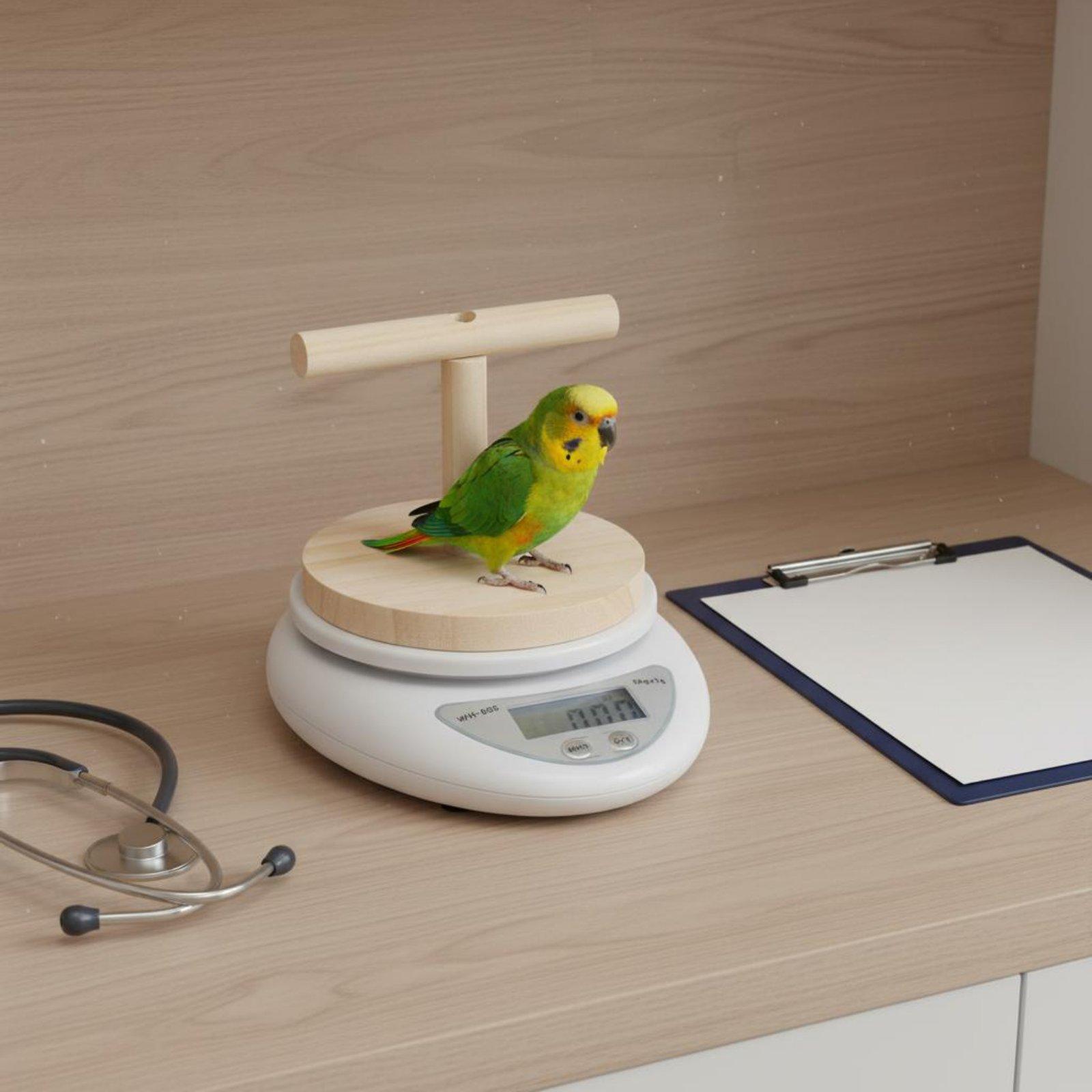 Digital Pet Bird Scale with De - đánh giá và giá Portion Scale Digital